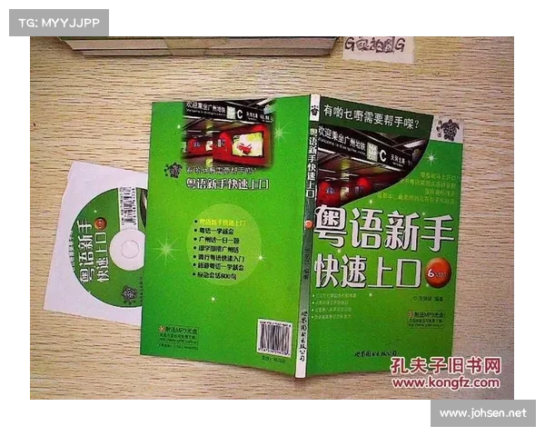 全面解析足球虚拟队常见问题与新手必备操作技巧深度指南大全汇编